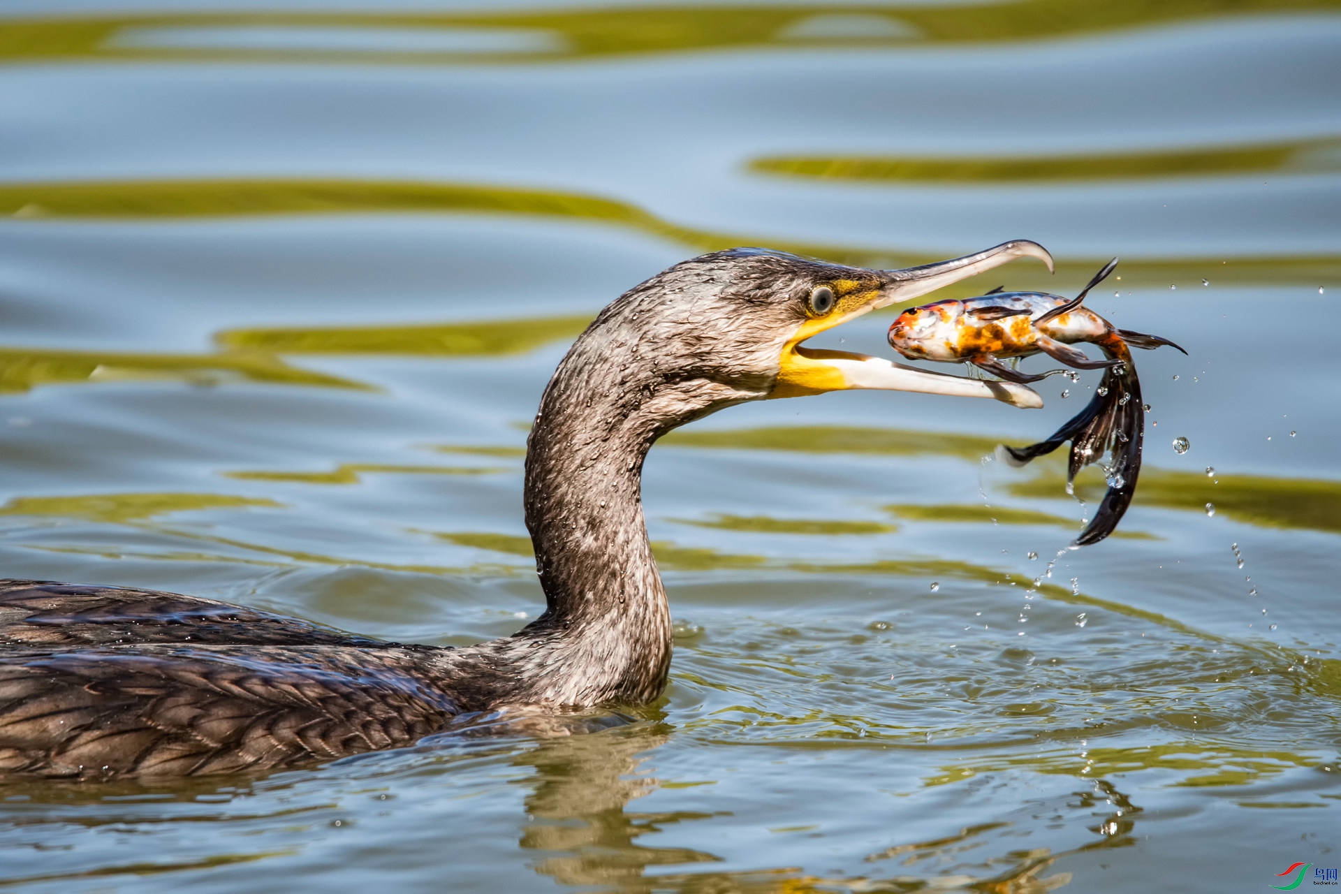 �ջ� (2)_����.jpg