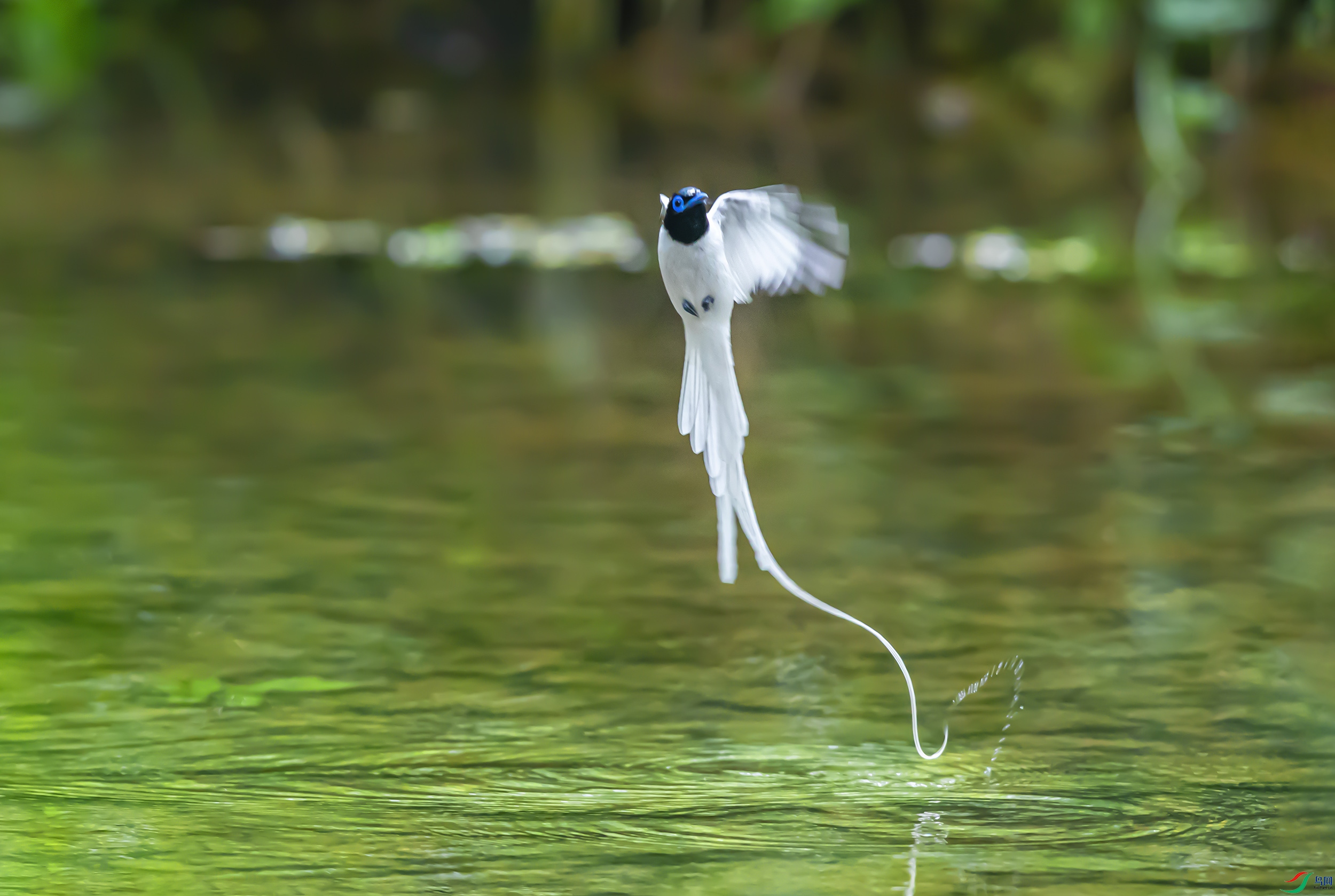 _S7I7580--15.jpg