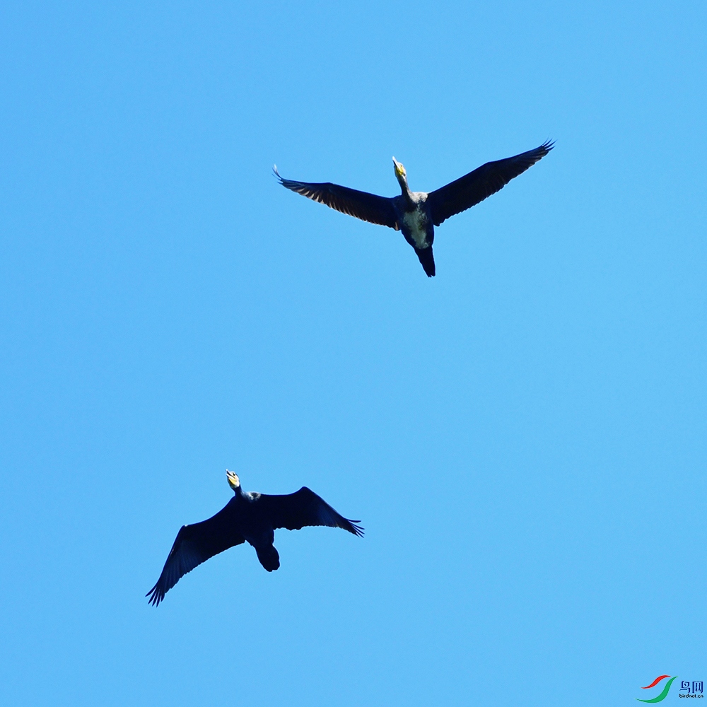 DSC_5967.jpg