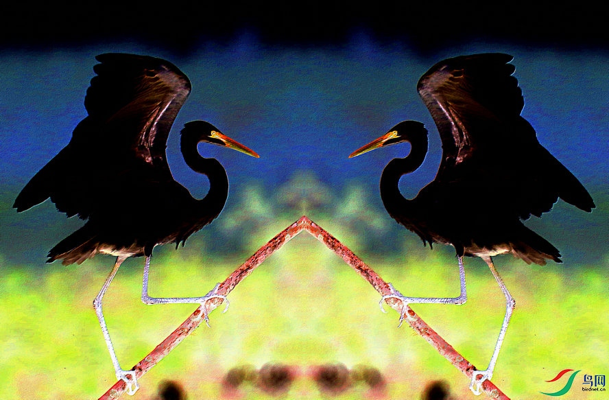 4K0A9434_����_����2_����.jpg