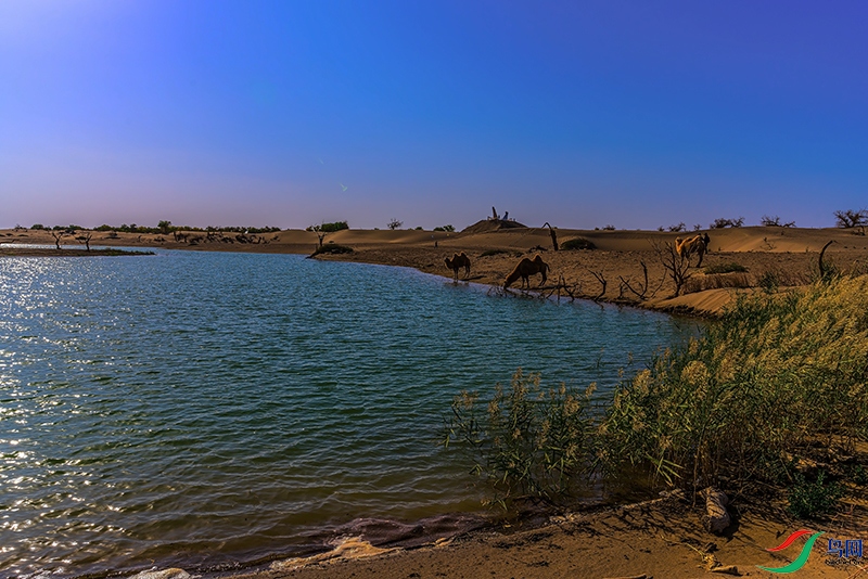 _DSC8916.jpg
