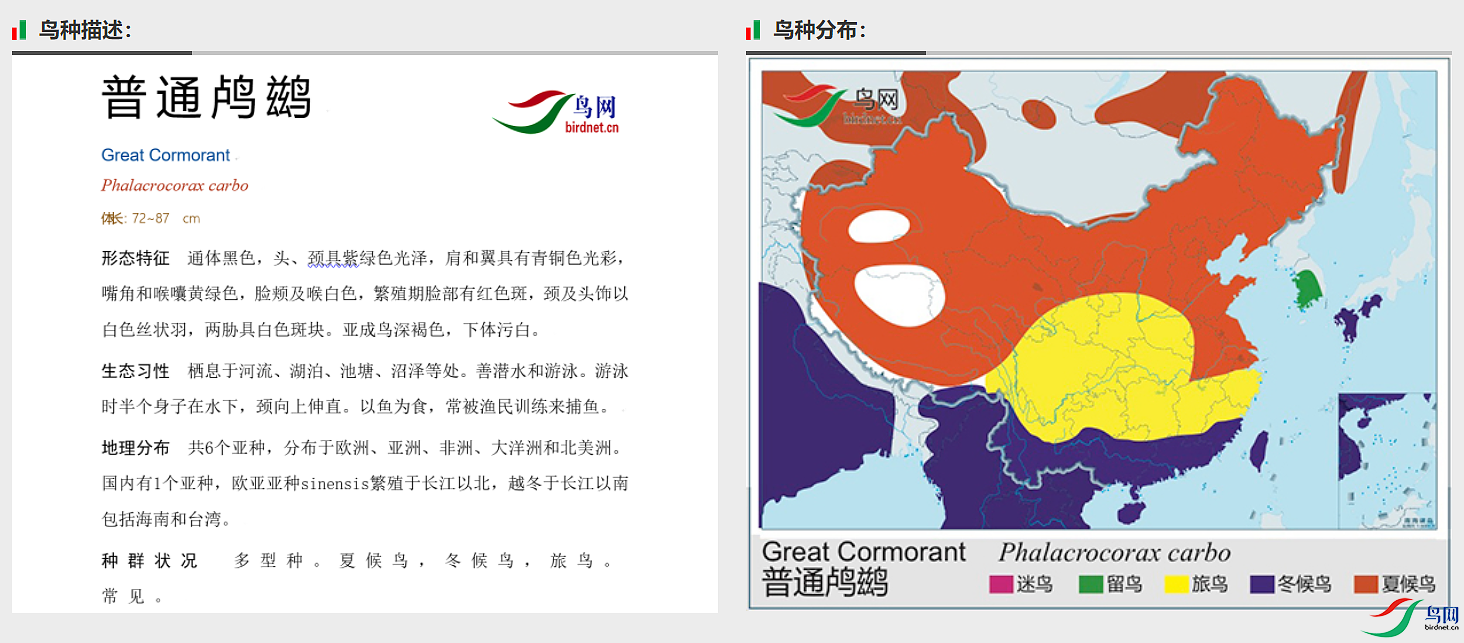 95f92c0c9c6a9469018bef452db9ae3.png