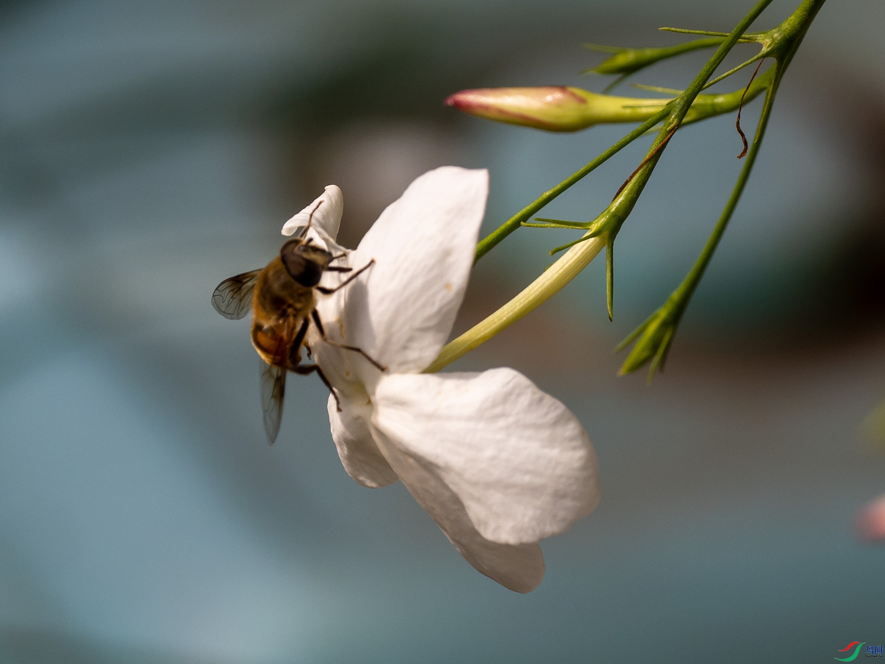 �۷�����ܰ��