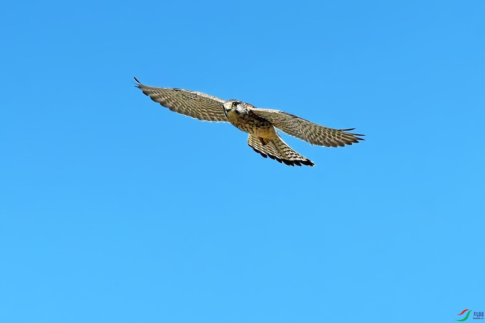 DSC_5509.jpg