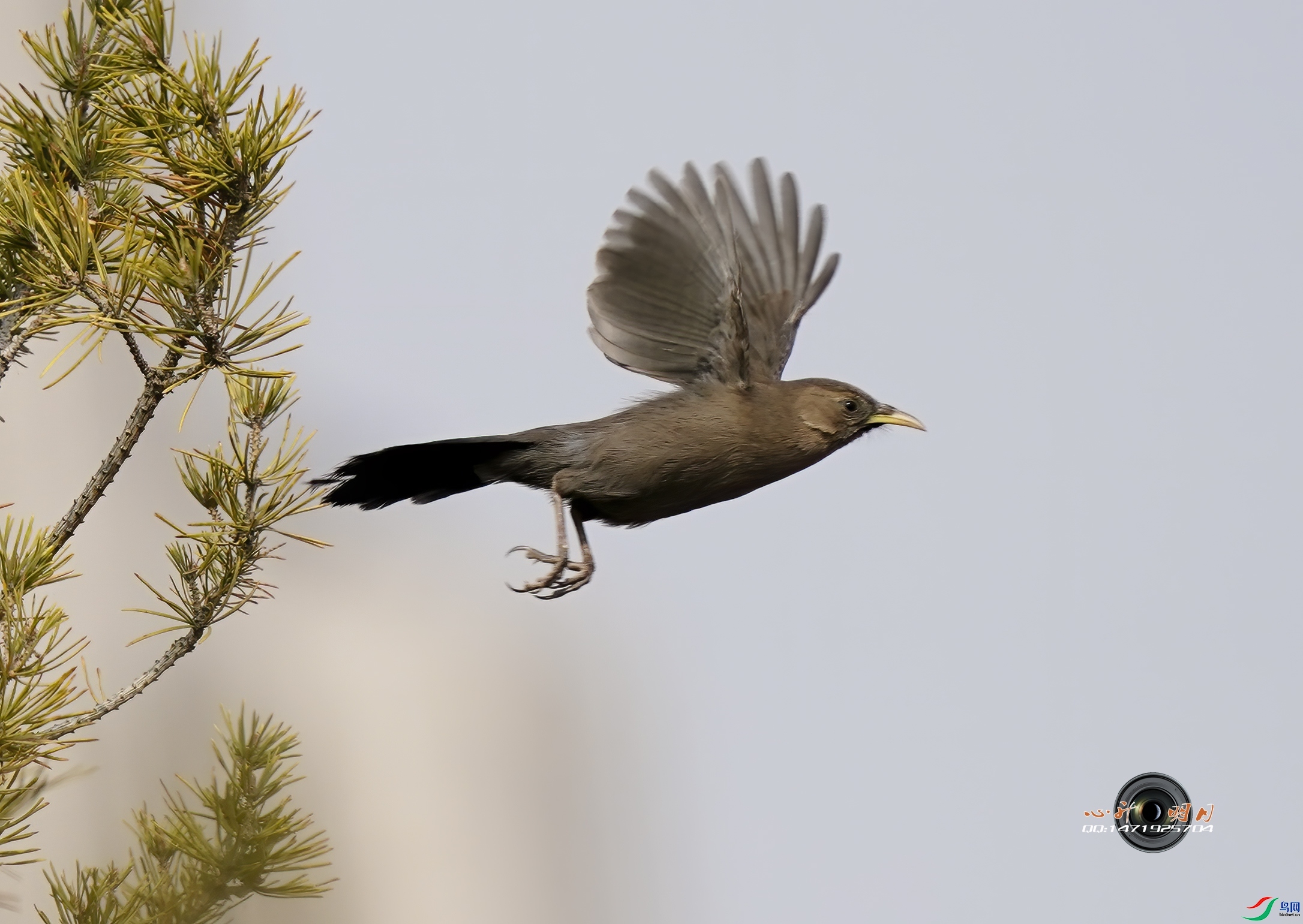 ��������  ��ʦ���������ɹ������� ���ͺ�����.jpg