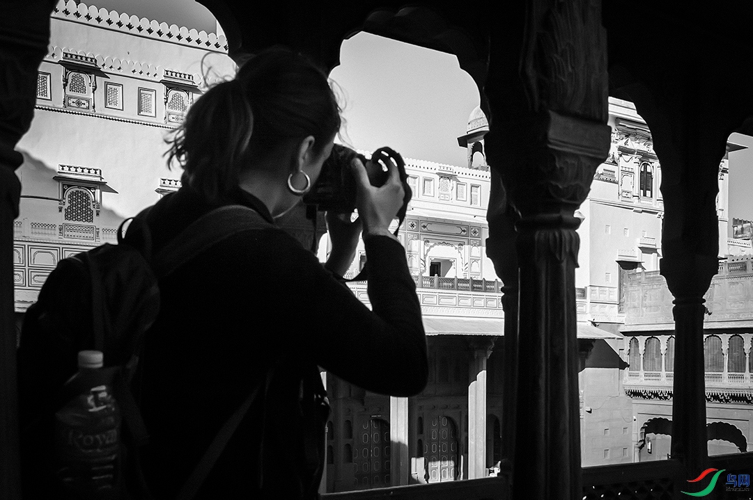 _MG_1773-01.jpg