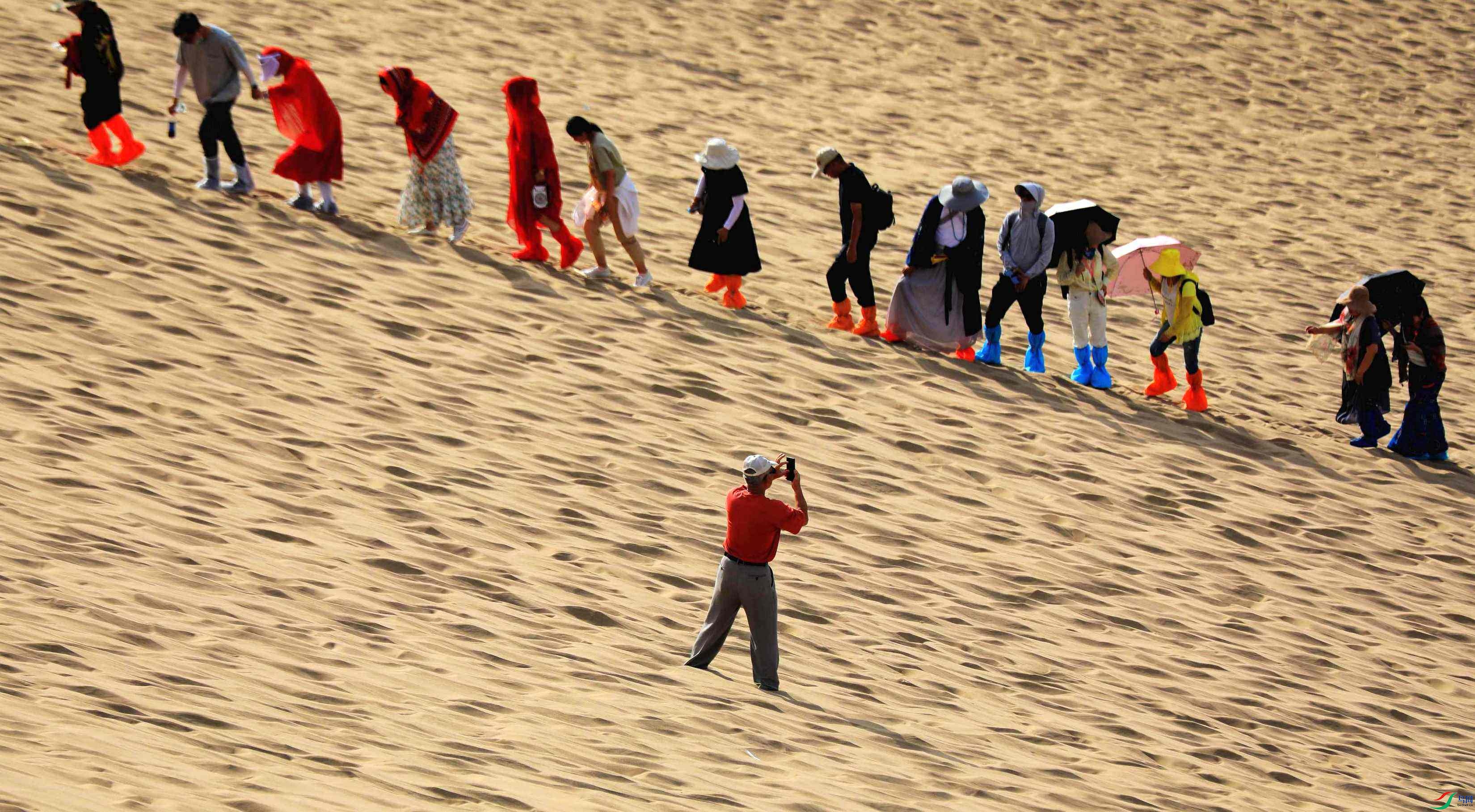 3E5A1130_���� - ����_����.jpg