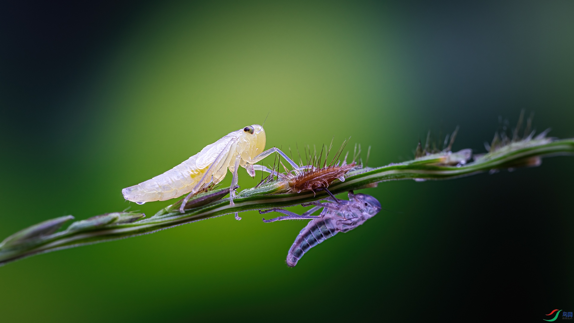 _G3A5982-11.jpg