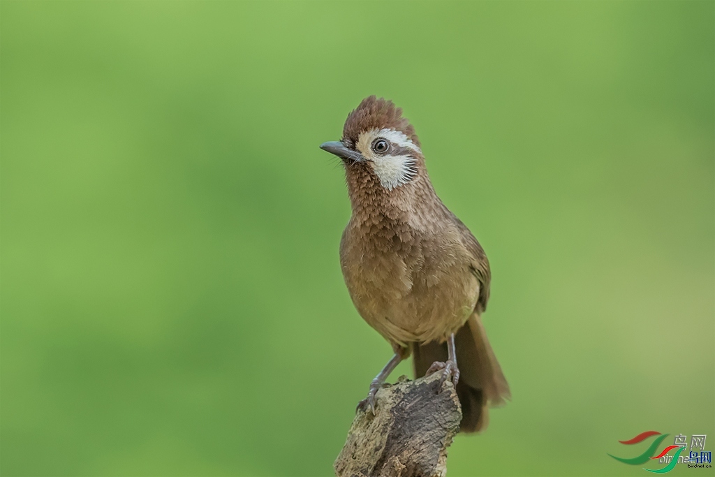 ����ɭ  ��ʦ�����ں���ʡ ��ʩ���������������ݶ�ʩ��.jpg