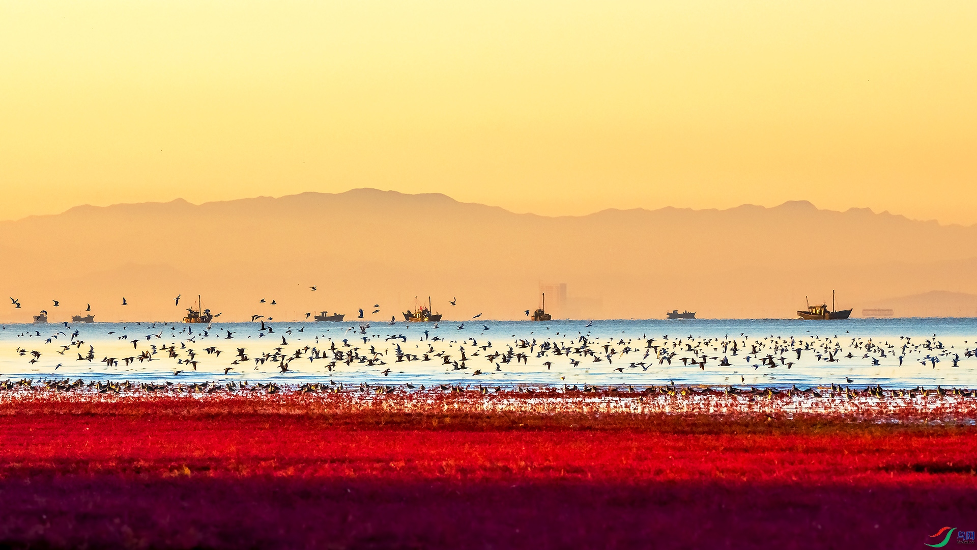 _DSC6371.jpg
