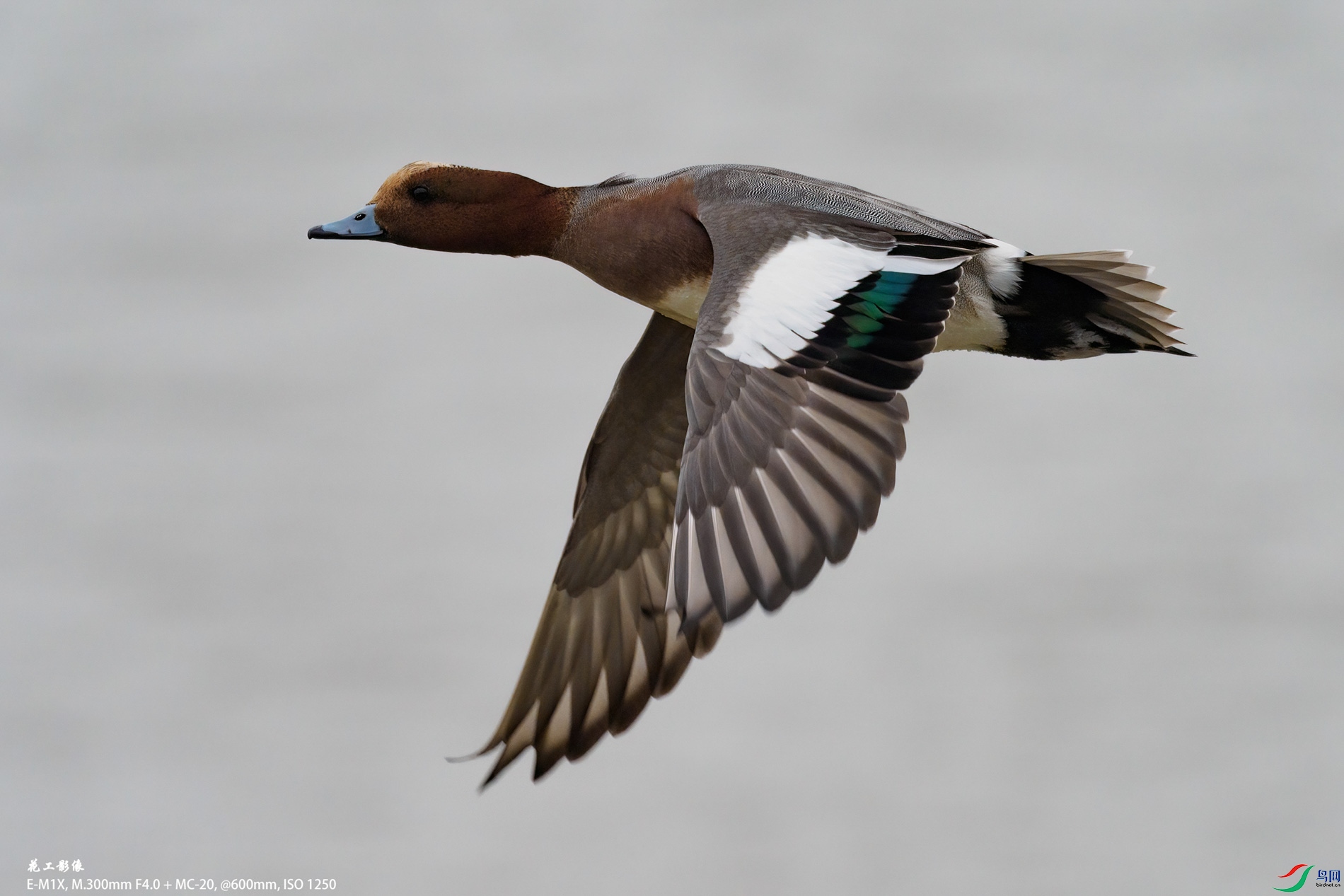 P1081510ac.jpg