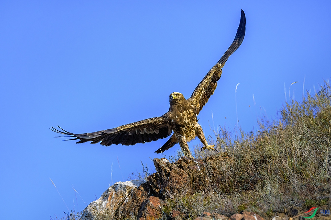 ���������ɹų���а����������Ҽ���Ȼ��������