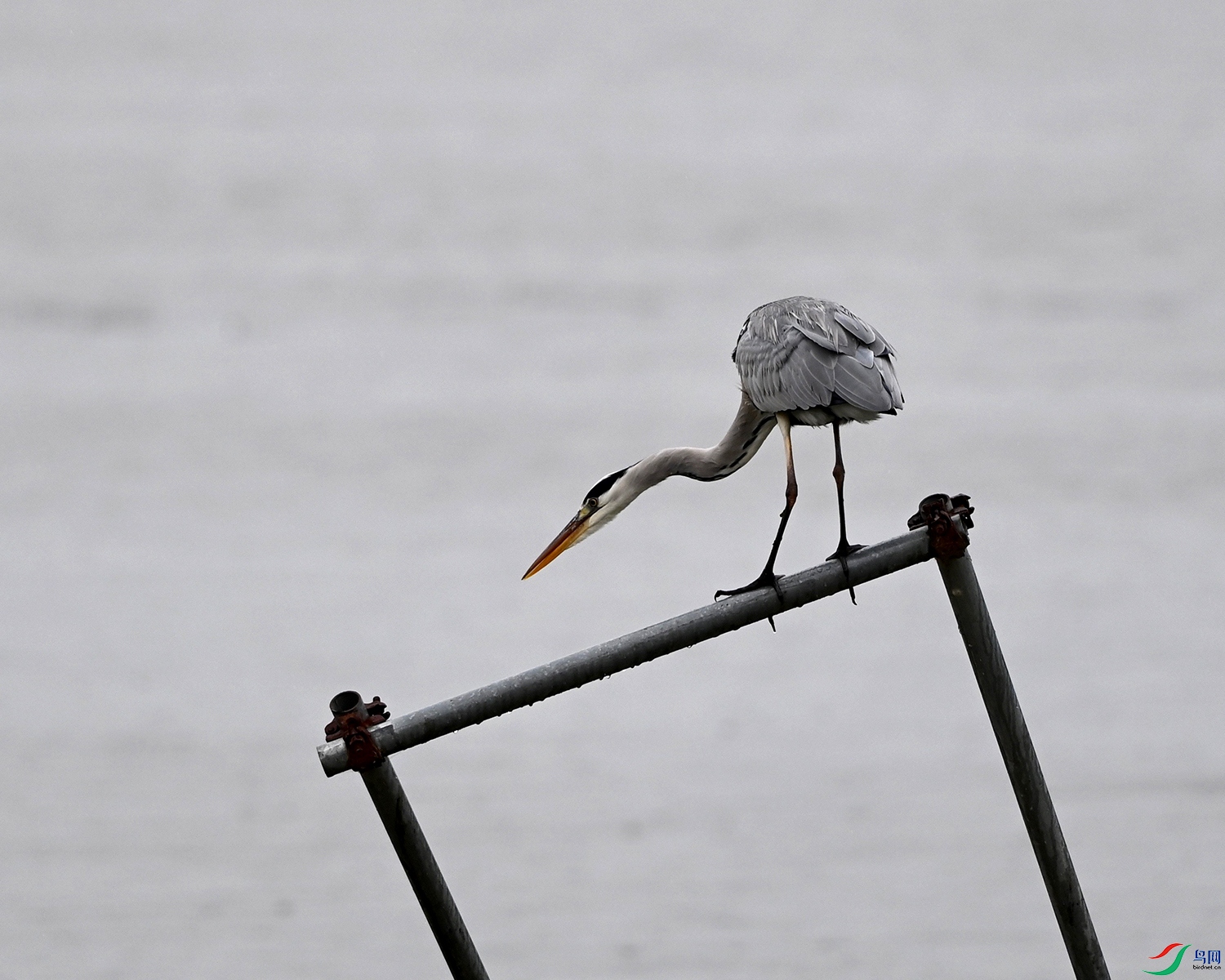 DSC_0341.jpg