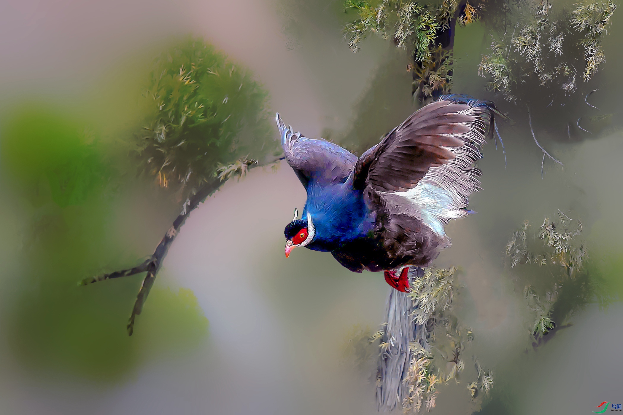 DSC_3517 (3)_����_����_����_����_����_����_����.jpg