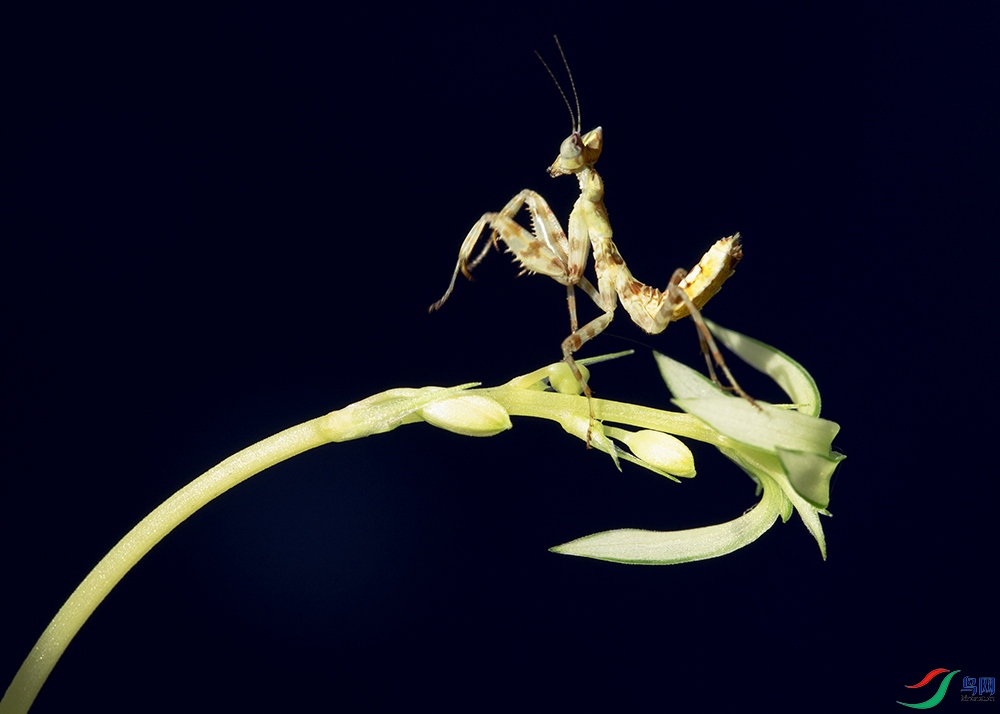 C13A7895a3.jpg