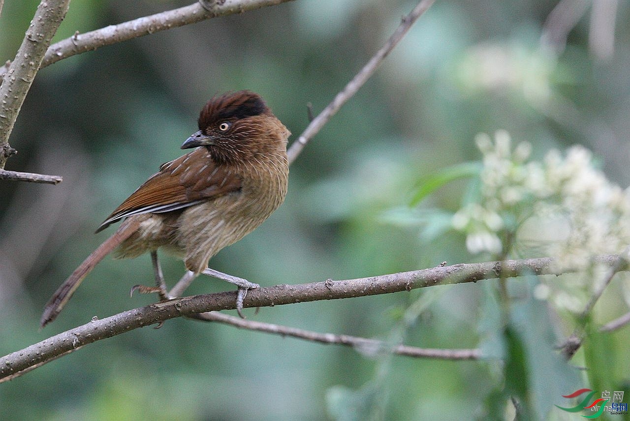 ����   ��ʦ����.jpg