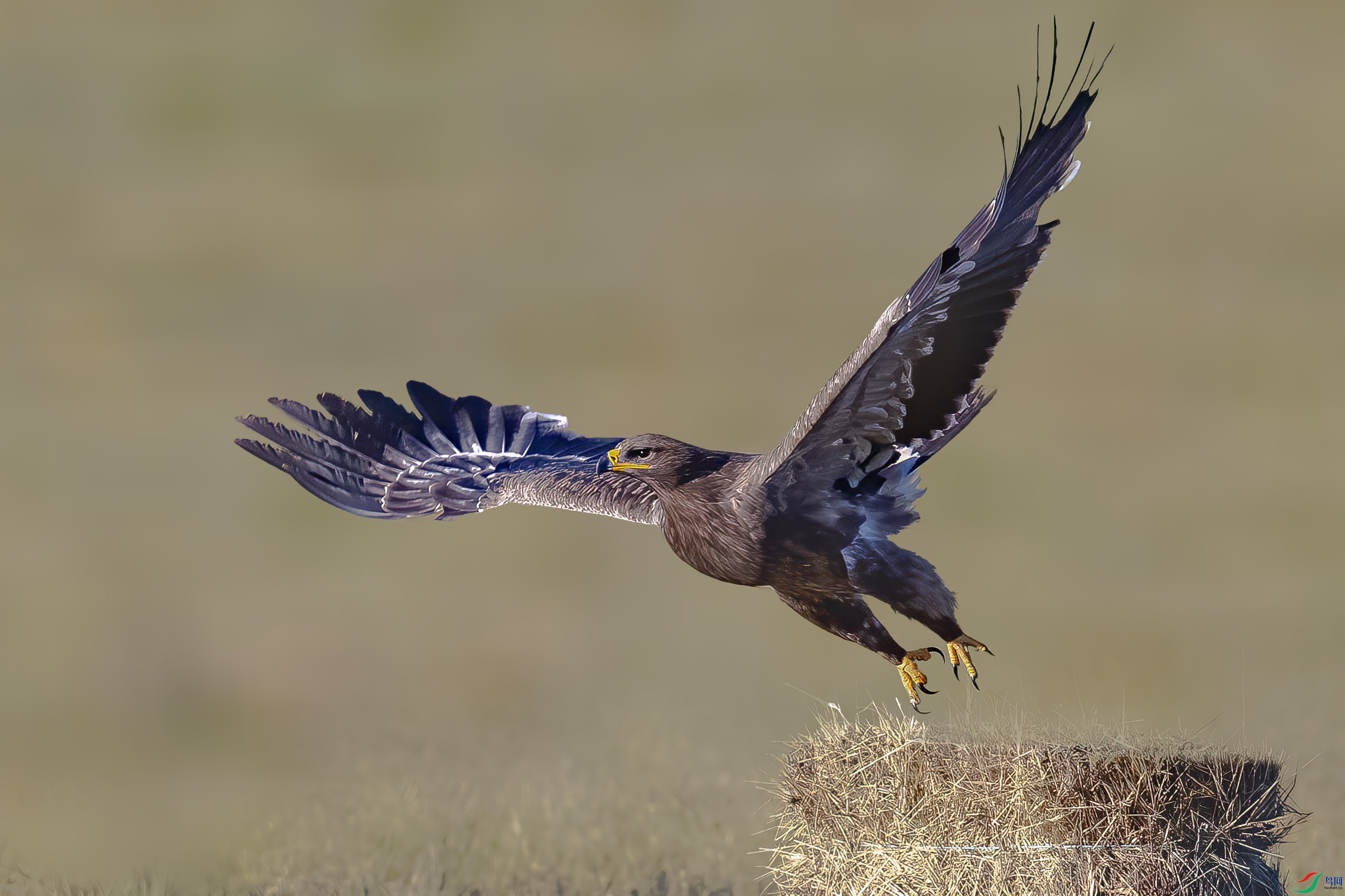 A95I4723 ���� 2.jpg