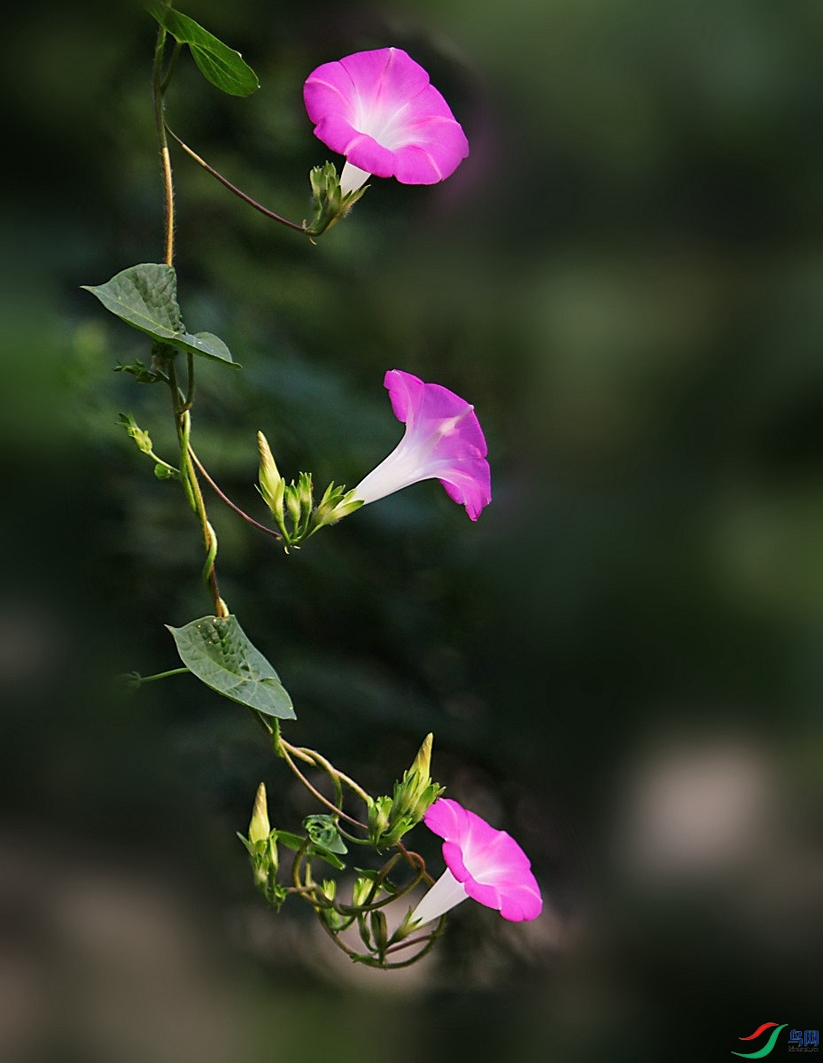 IMG_8865.JPG