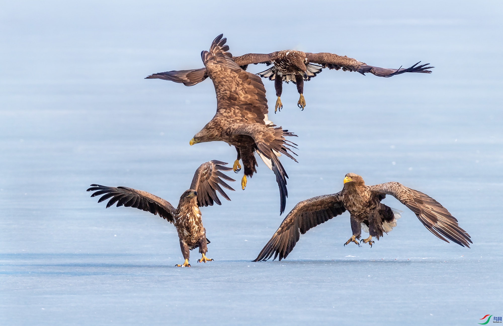 ��β����