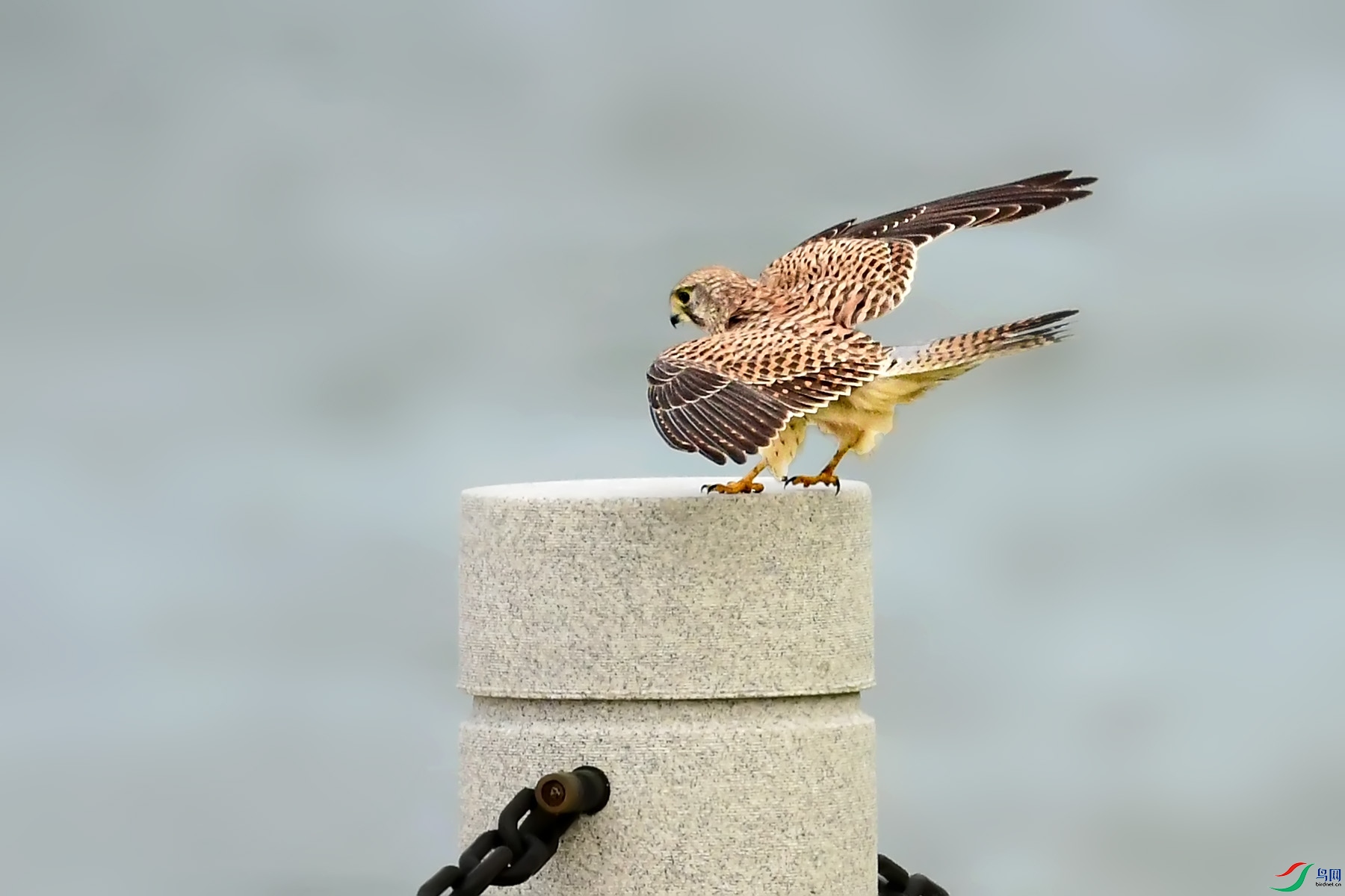 DSC_7201.jpg