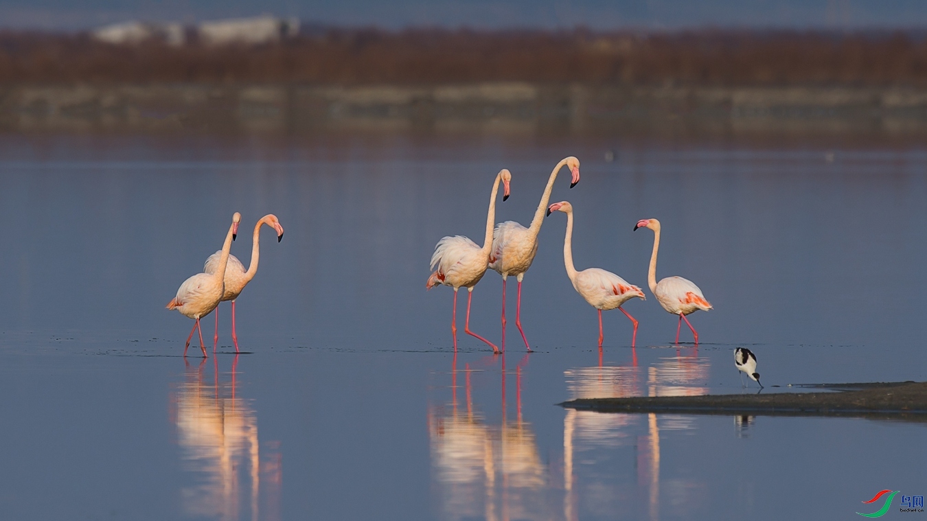 XCG_7101 - ����.jpg