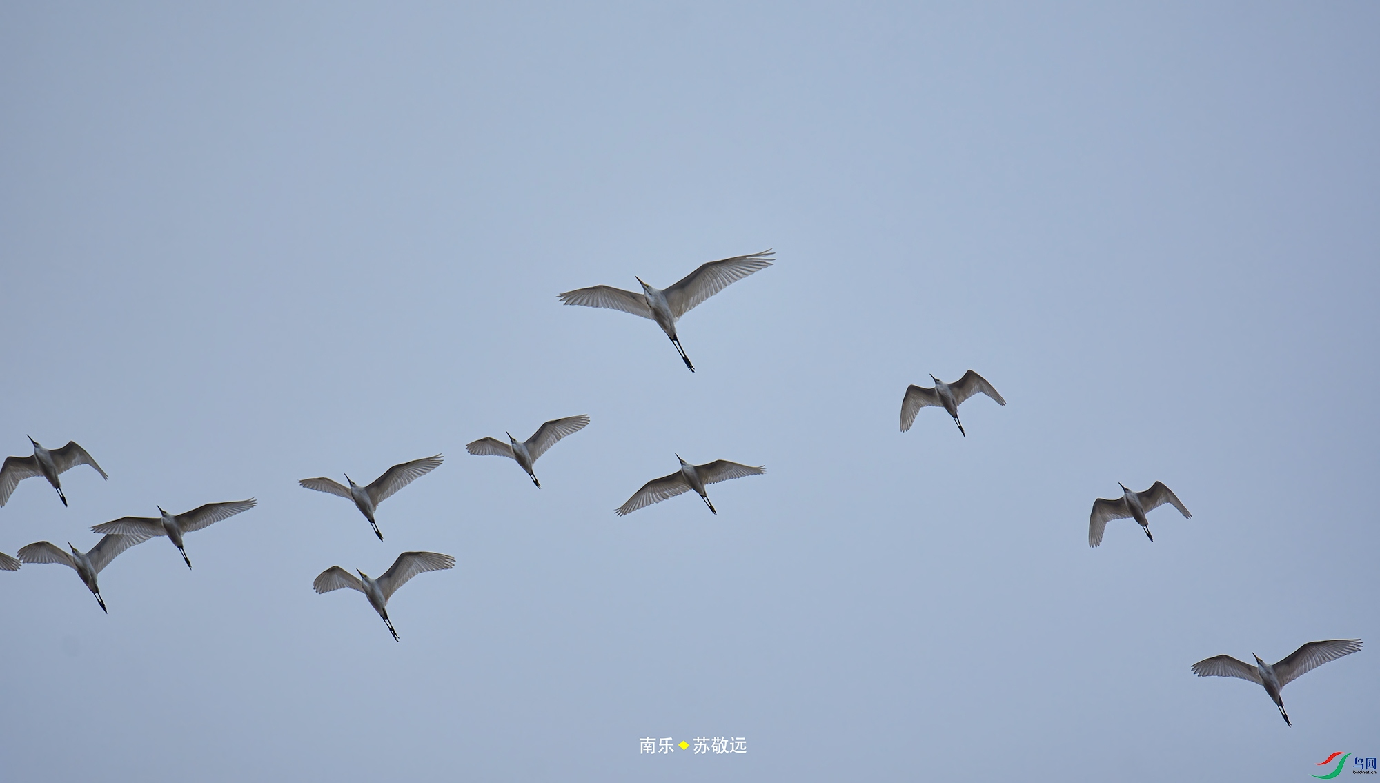 _DSC6231С.jpg