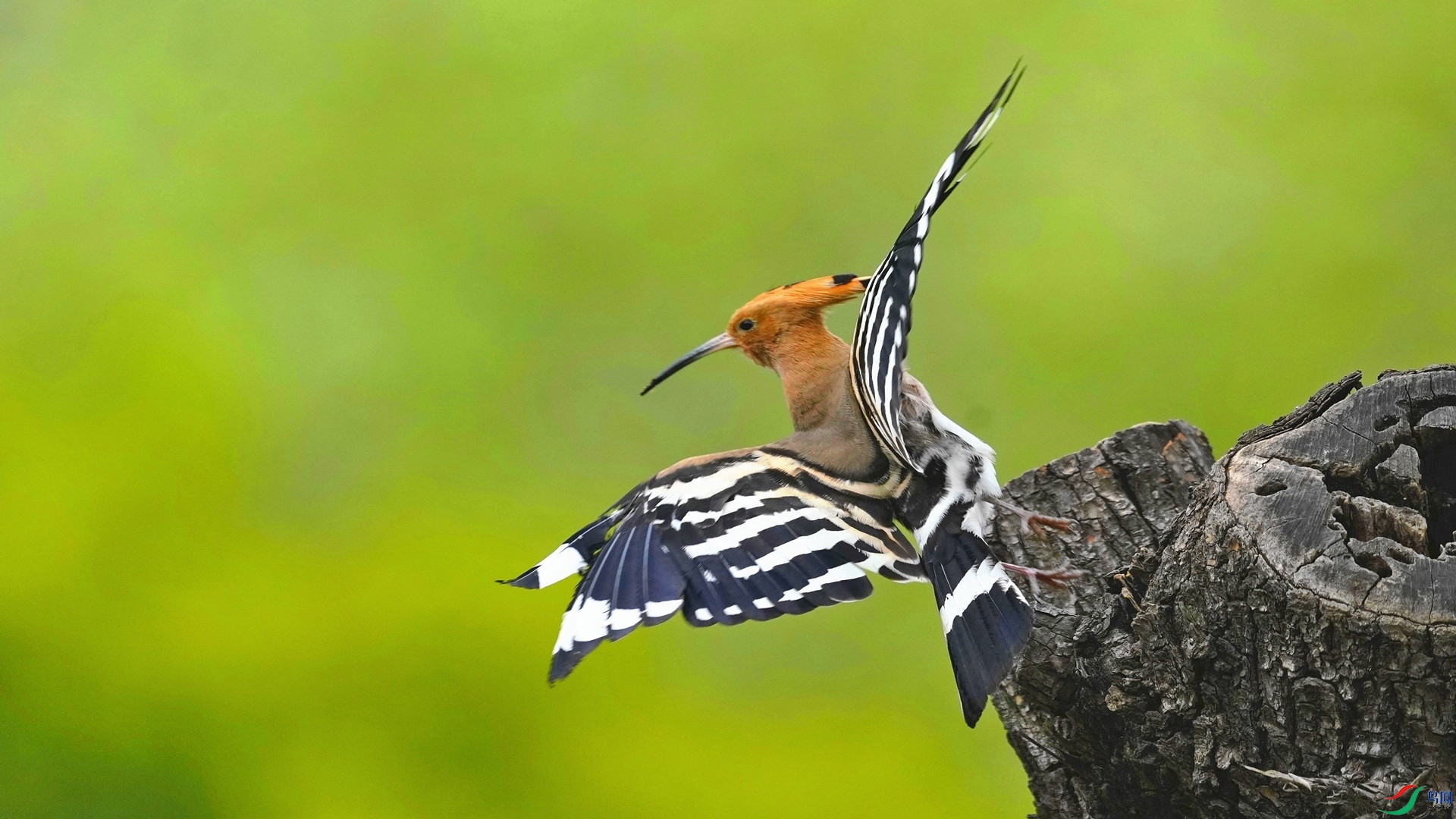 _DSC7058_���� (2).jpg