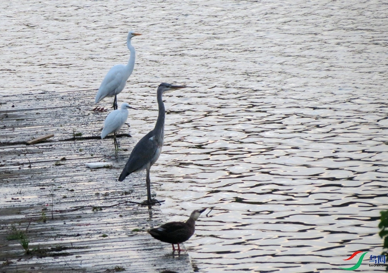 ���ͼ��������֡�2021��10��8�����ڴ����׸���