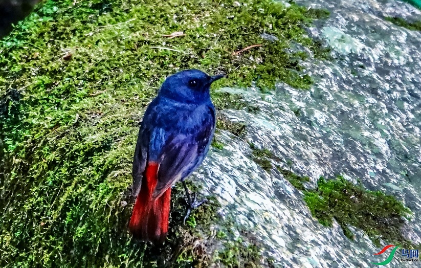 DSC02019.jpg