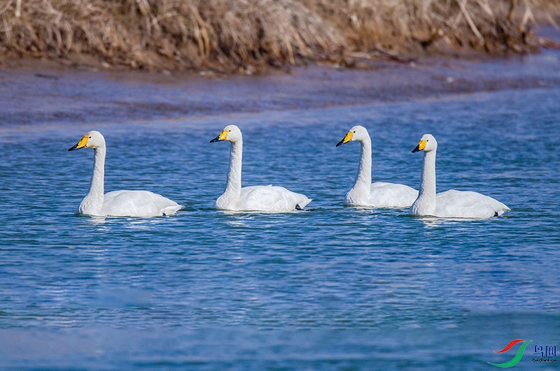 _DSC6984.jpg