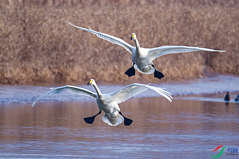 _DSC7426.jpg