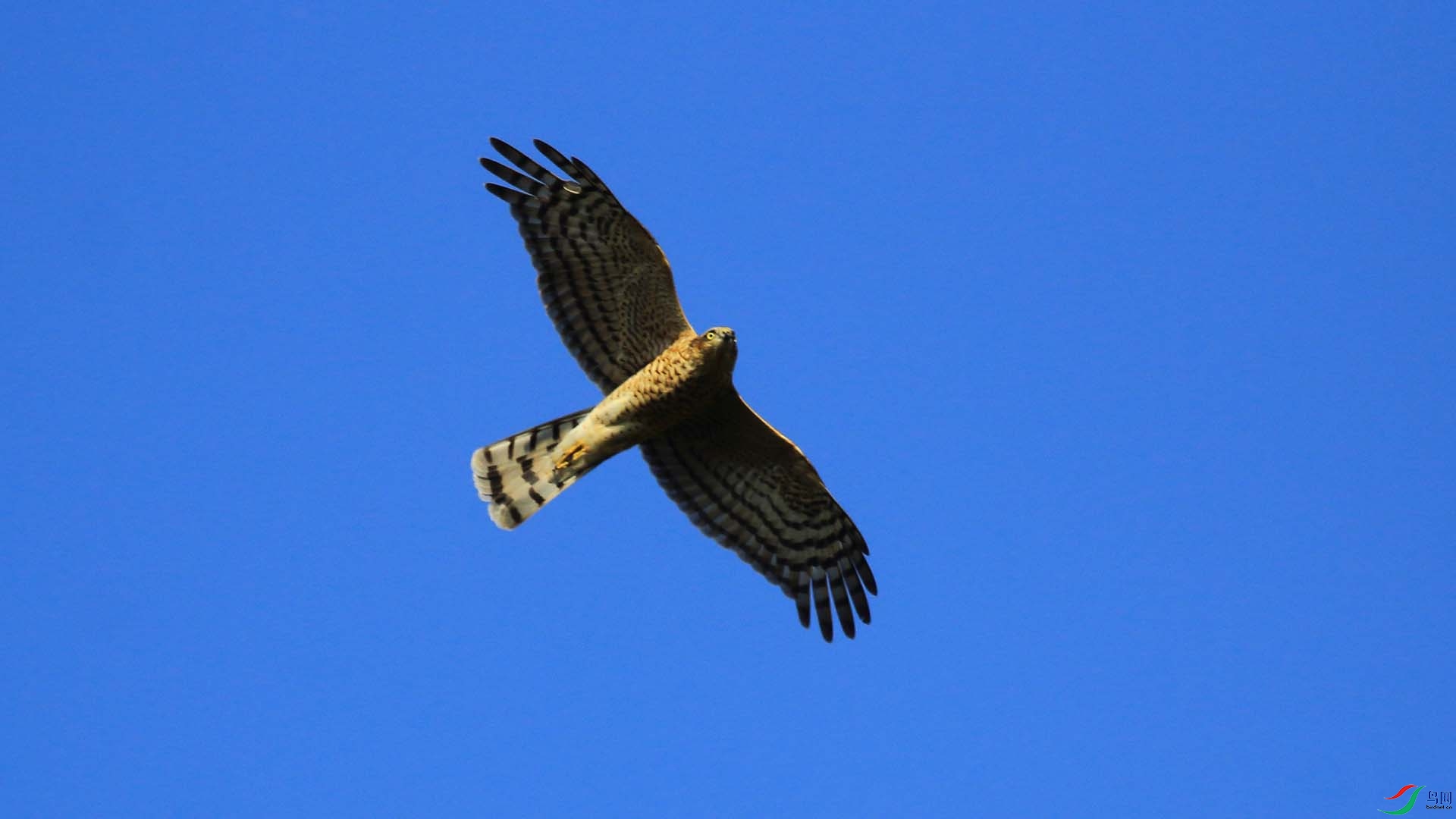 IMG_9750.JPG