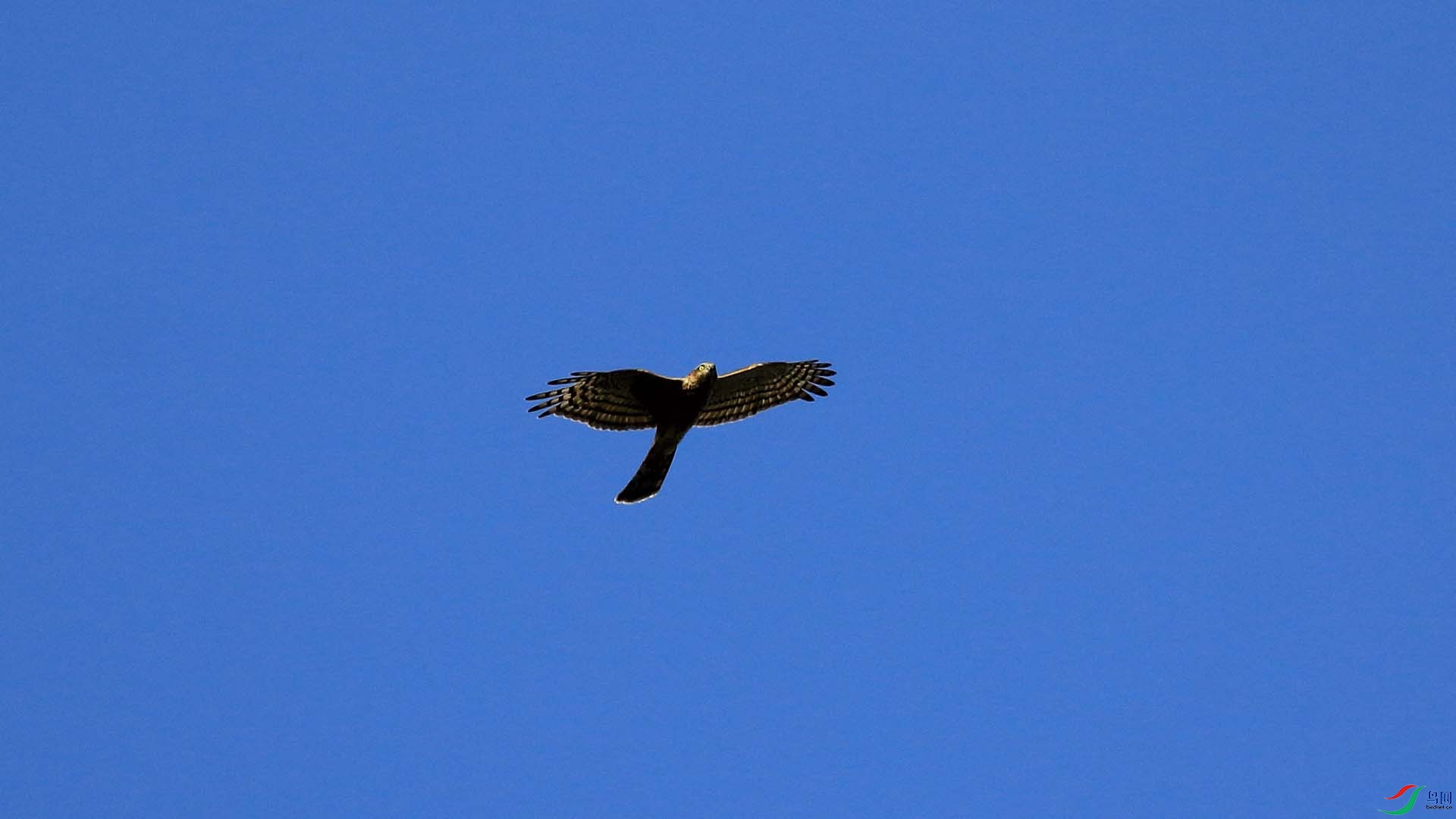IMG_9773.JPG