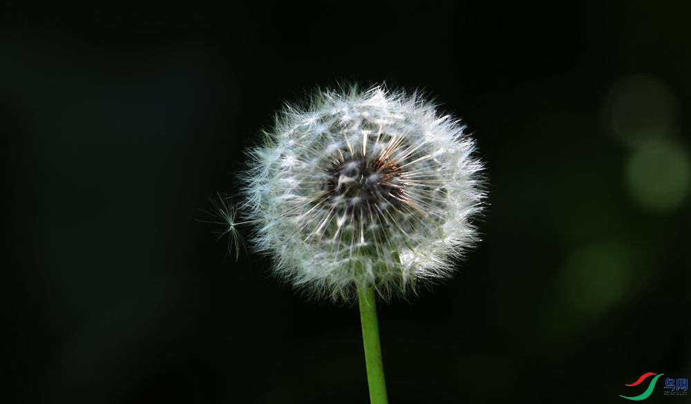 DSC_7781_����.jpg
