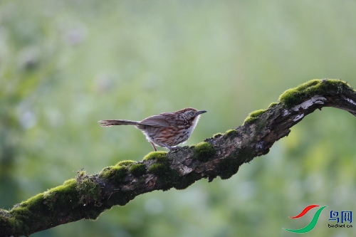 DPP_0458.JPG