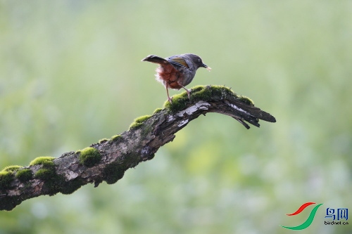 DPP_0494.JPG
