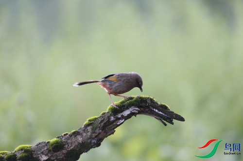 DPP_0548.JPG