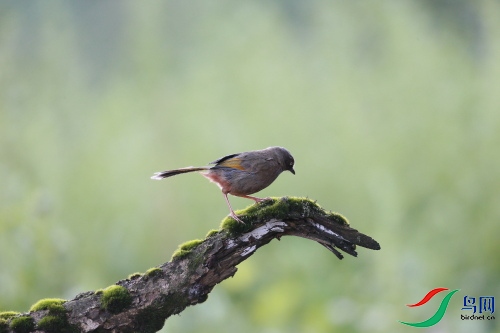 DPP_0544.JPG