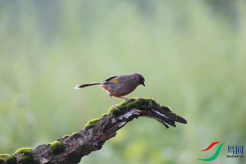 DPP_0545.JPG