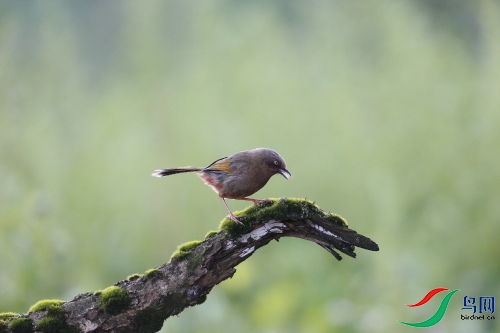 DPP_0552.JPG