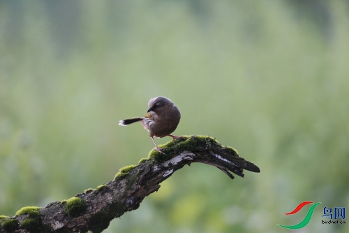 DPP_0554.JPG