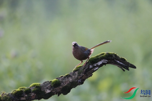 DPP_0618.JPG