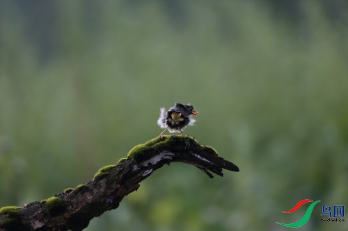 DPP_0709.JPG