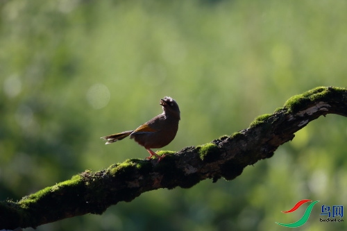DPP_0817.JPG