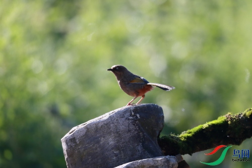 DPP_0969.JPG