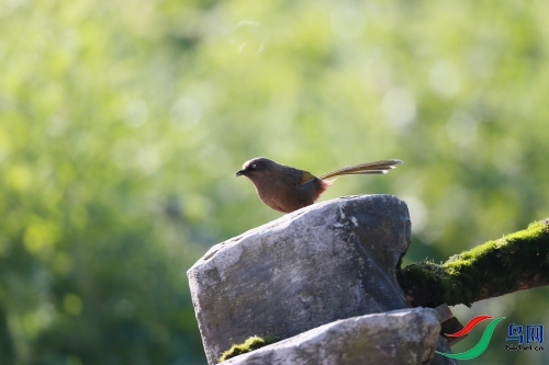 DPP_0978.JPG