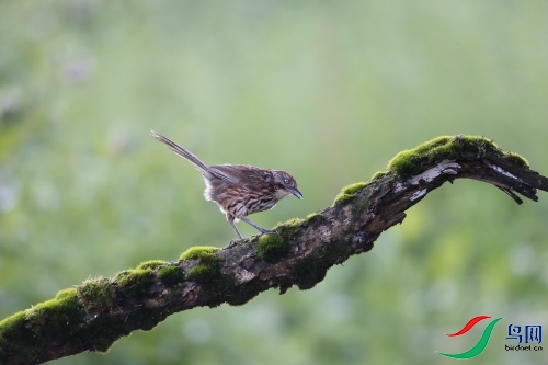 DPP_0207.JPG