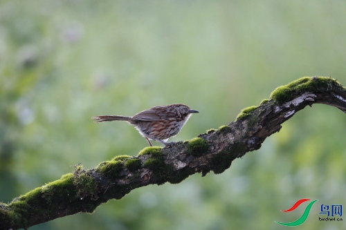 DPP_0456.JPG