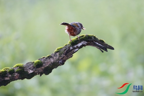 DPP_0491.JPG