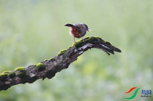 DPP_0492.JPG